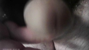 Pissing at the Lens