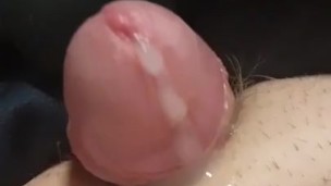 pup using new toy and cumming