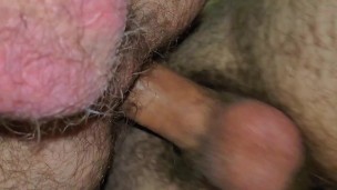 Experience with Bear Daddy