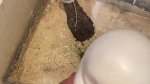 Imagine me pissing on your face and lips and in your mouth