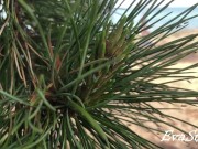 She practiced naked yoga in nature, for which she was fucked 1/16