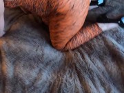 Rose Kingman the Real Tiger Queen 3/16