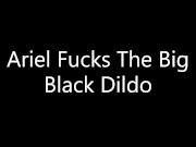 BBW Ariel Takes BBC 1/16
