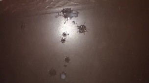 Teasing My Cock Thru The Hole In My Pants Pocket, Had To Whip Out, Masturbate And Cum So Bad