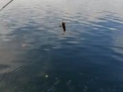 My Panties after Three Days 1/16