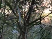 Having some fun in the great outdoors 10/16