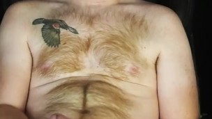 Jerking off, playing with my hole and shooting a big, thick load all over my fuzzy, ginger chest