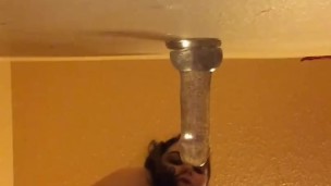 Dildo on the Wall