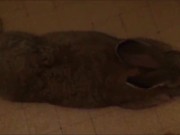 549 - 02 - satin skirt, satin fetish thong from my bastard husband, spandex pants, he 7/16