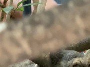 COUPLE IS FLAGRATED FUCKING IN THE BACKYARD 15/16