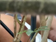 COUPLE IS FLAGRATED FUCKING IN THE BACKYARD 16/16