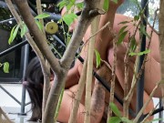 COUPLE IS FLAGRATED FUCKING IN THE BACKYARD 4/16