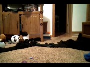 11 12 2021 sanna and rin 6/16