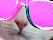 se exibindo ao tomar banho 15/16