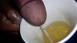 Drink the piss from my fat cock