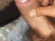 Young canary has fun at night 13/16