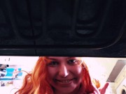 Thanksgiving Turkey 6/16