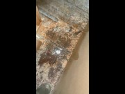 COMPILATION OF SOME INAPPROPRIATE PEEING