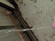 Piss desperation on couch leads to wetting before making it outside 