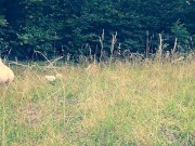 COLLAR LEASH SLAVE HUMILATION What an obedient slut I am 14/16