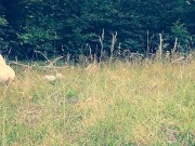 COLLAR LEASH SLAVE HUMILATION What an obedient slut I am 15/16