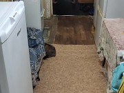 I'm having fun again 5/16