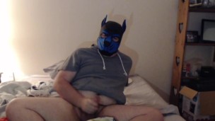 pup jerkingoff