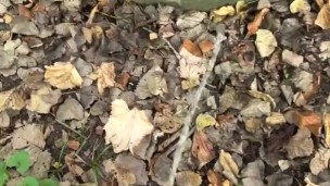 Eddie De Luca Pissing In Woods [PREVIEW]
