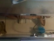 Come shower with me / molly doing molly 9/16