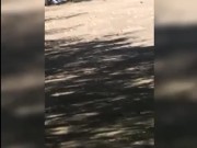 CHICA Mexicana Ofrece DINERO a Hombre Por SEXO!Le OFREZCO DINERO Para que me Lo ENSEÑE En PÚBLICO #2 1/16