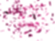 GIRLSRIMMING - Next door guy got nice rimming fromy sexy teen 15/16