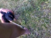 I own a slut PET  COLLAR LEASH WALK 9/16