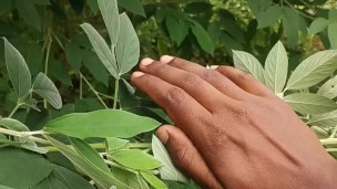 அண்ணியை கவுத்துபோட்டு ஓக்கும் கொழுந்தனின் திறமை