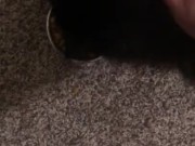 Feeding the cat but giving him extra because he’s a good boy 11/16