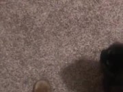 Feeding the cat but giving him extra because he’s a good boy 5/16