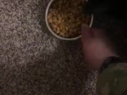 Feeding the cat but giving him extra because he’s a good boy 7/16