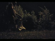 Night life of piss slut in public park 2/16