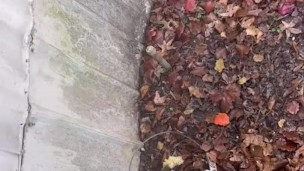 Pissing in public 