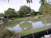 Milf Cory Chase Gives A Tour Of Her Modern Mansion - TabooHeat 11/16