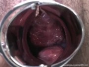 Preggy on Board 6/16