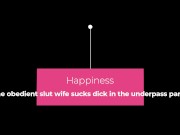 The obedient slut wife sucks dick in the underpass part 1 1/16