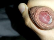 Volete farlo sborrare? JOI ITA  15/16