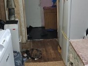 Ordinary weekdays 14/16