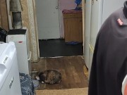 Ordinary weekdays 15/16