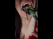 Giantess Christmas Snack (Vertical Video) 8/16
