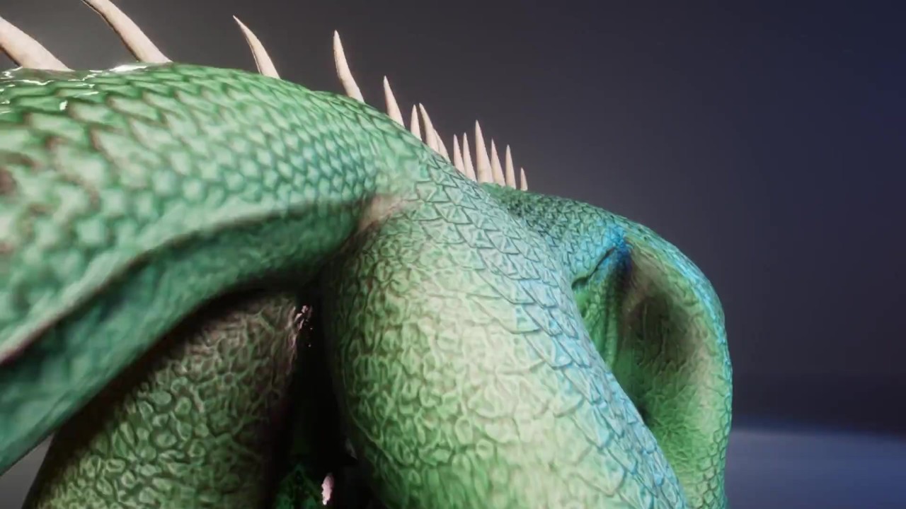 Scalie Reptile (Corbac) Orgasms Together with Guy (Gay Sex) | Wild Life Furry - Free Sex Video - RedTube