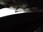 Topless At Kern River 9/16