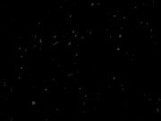 The best cream for Nika's soles! Christmas foot fetish 1/16