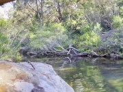 Petite Tattooed Slut Sucks Cock In Public Rainforest 1/16