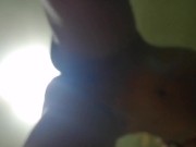 LE ROMPO EL CULO DE PERRITO